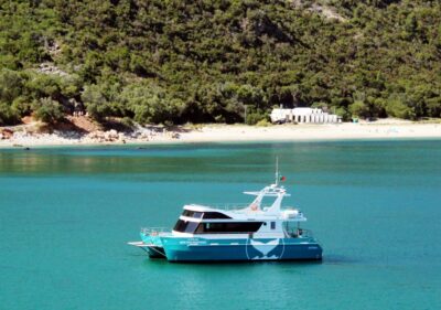 Setúbal: Dolphin Watching Tour - The welcome drink and getting your bearings fast