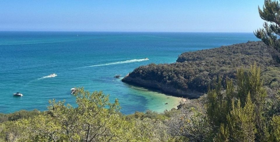 Setúbal Tour, Mountains & Sea, w/ Wine Tasting! FROM LISBON - Price and value: is $74 a fair deal?