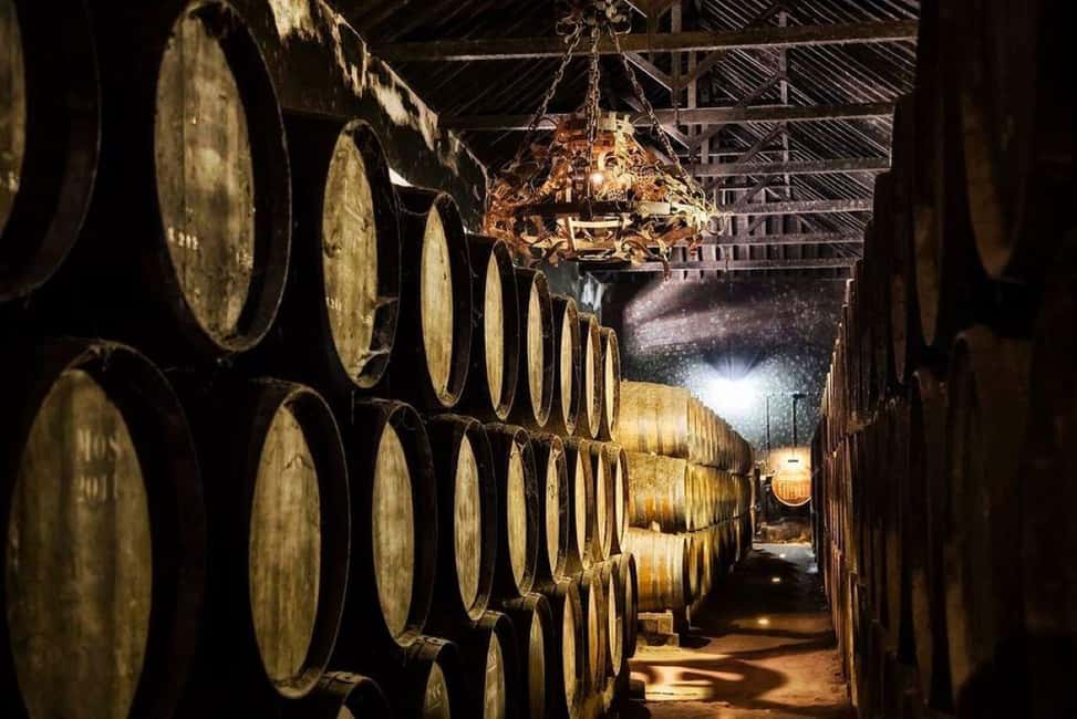 Setúbal Wine Tour: Discover the Moscatel Wine - José Maria da Fonseca: Periquita, Vinho Moscatel, and old cellar aging