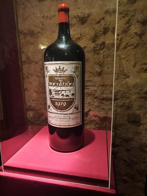 Setúbal Wine Tour: Discover the Moscatel Wine - Christ the King viewpoint: the short stop that gives you perspective