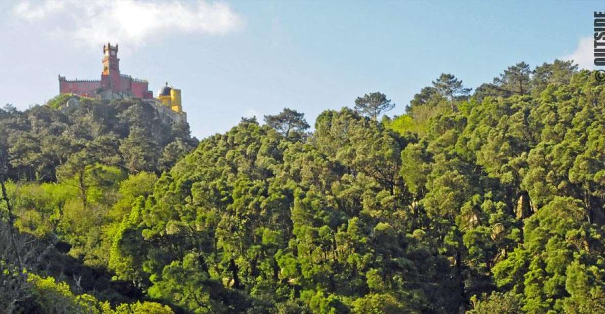 Sintra: 3.5-Hour Rock Climbing Experience - Safety Briefing and Gear: What You Actually Need