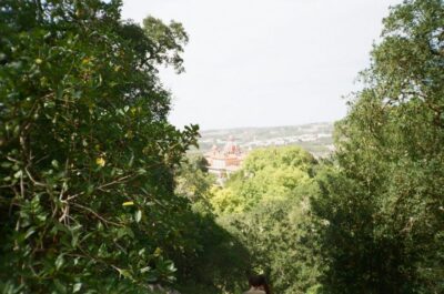 Sintra: Full Day guided tours by Van with Local guide - Meet your guide: why Sérgio’s style matters