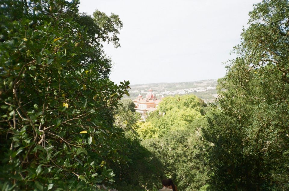 Sintra: Full Day guided tours by Van with Local guide - Meet your guide: why Sérgio’s style matters