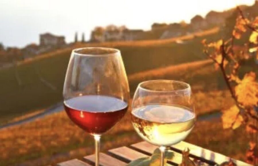 Wine Tasting - Private Half-Day Tour - Key highlights worth planning for