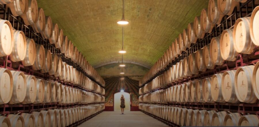 Wine Tasting - Private Half-Day Tour - The big fork in the road: Arrabida Mountain or the Portuguese tile factory