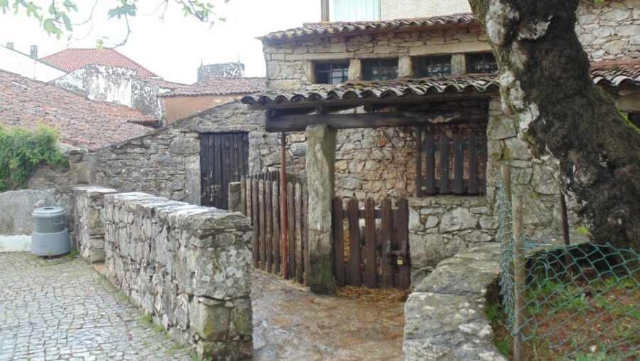 Wonders of Fátima Half Day Private Tour - Private guide + driver: what Bernardo, Tomas, and Alexandre bring